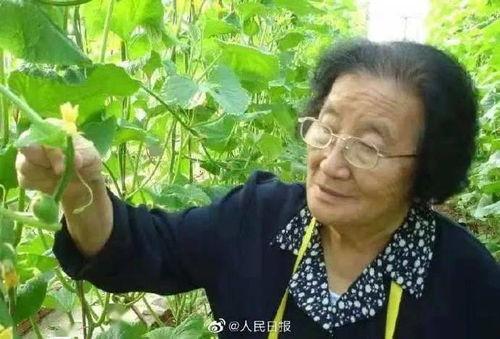 遇狼by吃瓜人好看吗免费阅读,一场惊心动魄的生存挑战，免费阅读带你领略吃瓜人笔下的精彩世界  第3张